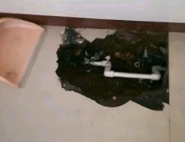 泰宁卫生间测漏水多少钱